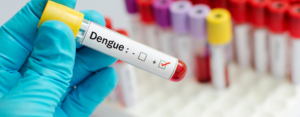 Dengue - Atenção a época de chuvas